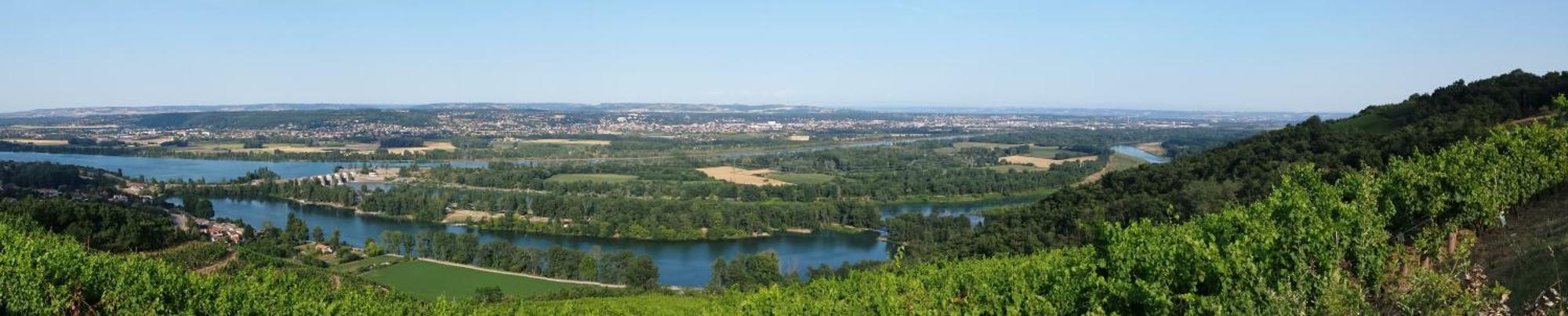 L'Ecrin De Vert Saint-Alban-du-Rhône Cameră foto
